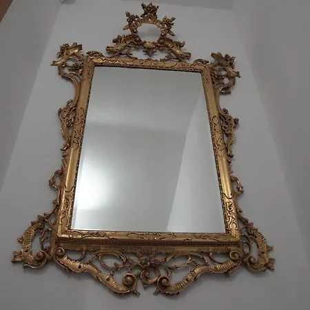 Ariadicorso *